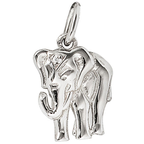 Anhänger Elefant 585 Gold Weißgold 1 Diamant Brillant Weißgoldanhänger