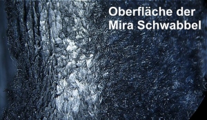 Bild Vergleich: Oberfläche der Mira Schwabbel