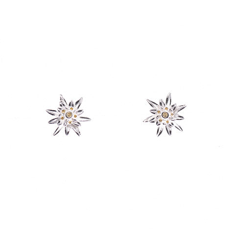 Ohrstecker 925 Silber Tracht Edelweiss