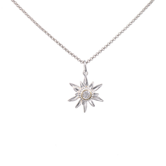 Anhänger Edelweiss mit Kette 925 Silber teilvergoldet Zirkonia weiss