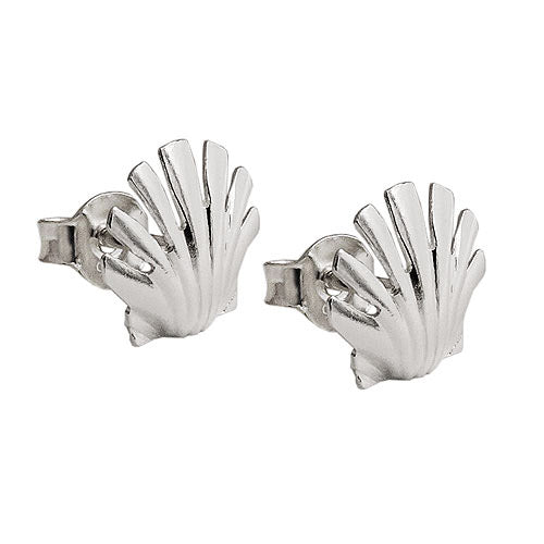 Ohrstecker Muschel glänzend Silber 925
