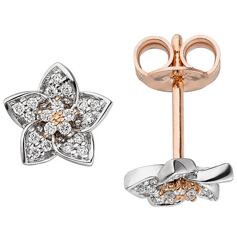 Ohrstecker Blume 585 Gold Rotgold Weißgold bicolor 40 Diamanten Brillanten